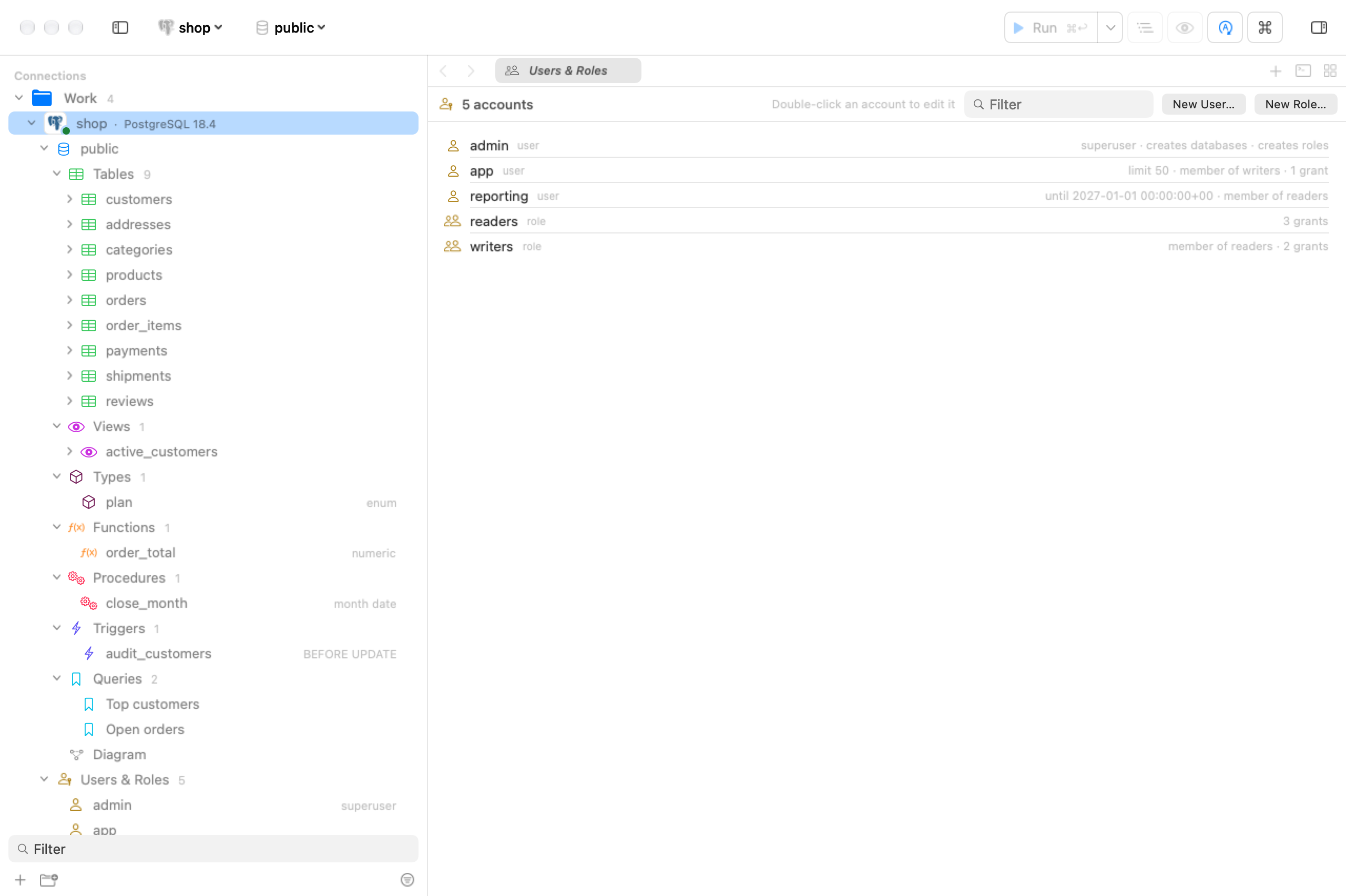 The Users and Roles listing with five accounts and their abilities.